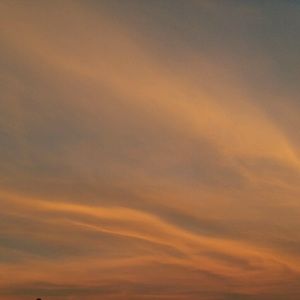 Meet your Posher, Adrienne